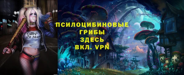 сатива Алексеевка