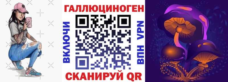 блэк спрут зеркало  Алексин  Псилоцибиновые грибы Psilocybe 