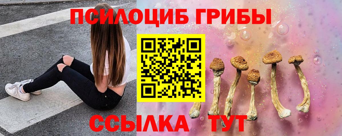 Галлюциногенные грибы мицелий  Вход с VPN  Алексин 
